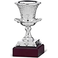 Los mejores  - Trofesport Trofeo SuperCopa de España Replica 14-5cm Grabado Trofeos Personalizados Trofeos Deportivos Futbol…
